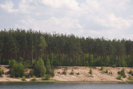 tree near lake with blue skyの写真素材