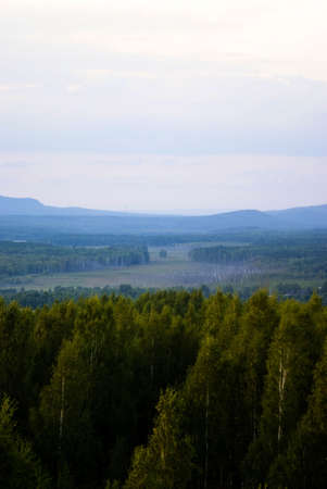 wild forest in Ural beetween Europe and Asiaの写真素材