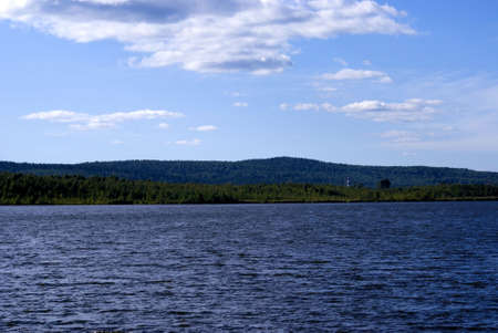 lake near forestの写真素材