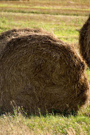 farm