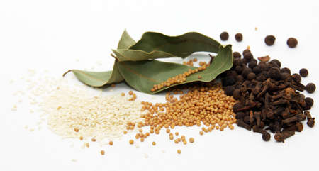 spiciesの写真素材