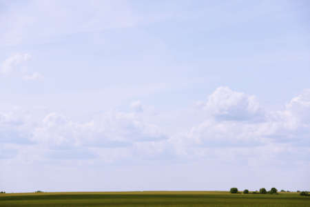 road near forestの写真素材