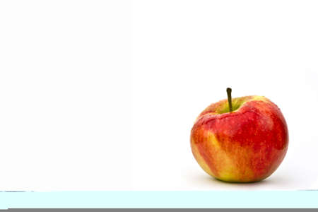 Chihuahua dog isolatedの写真素材