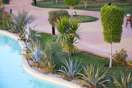 Beautiful landscaped yard with lotus blossom の写真素材