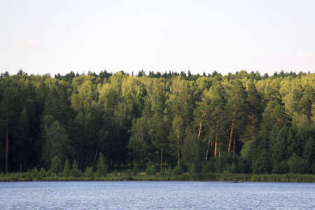 Forest near lake in Russia Uralの写真素材