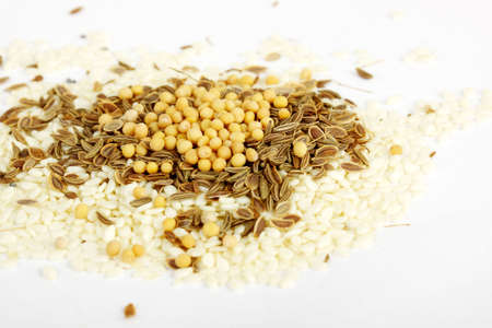 mix variety of colorful spicesの写真素材