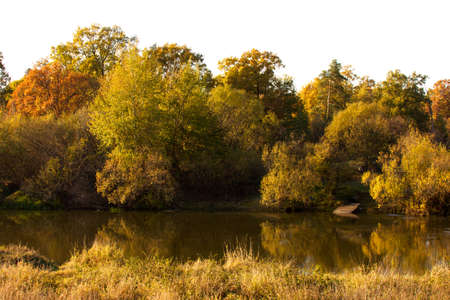 Beautiful landscape. Field and edge of forest Russiaの写真素材