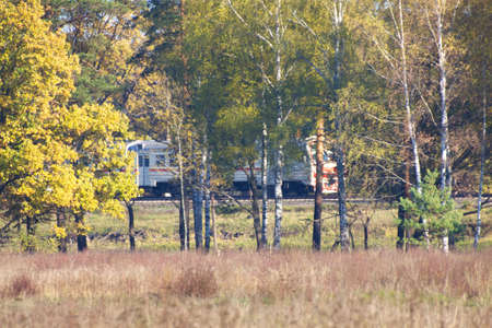 Beautiful landscape. Field and edge of forest Russiaの写真素材