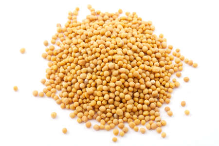 Yellow mustard seeds isolated on white backgroundの写真素材