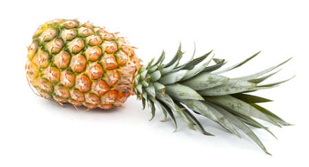 fresh tasty pineapple isolated on white backgroundの写真素材