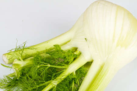 Fennel isolated on white backgroundの写真素材
