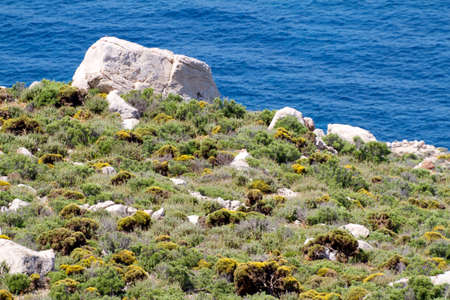 island and sea, greeceの写真素材