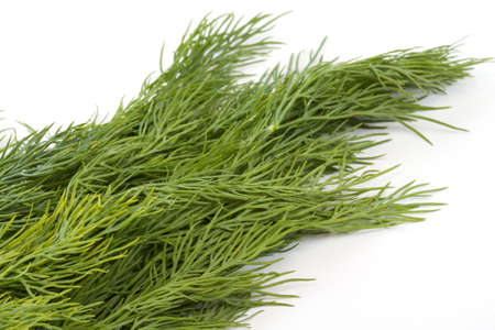 dill on white backgroundの写真素材