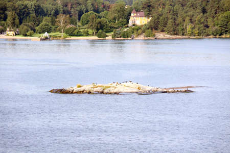 Lonely island in Sweden, Stockholm Archipelagoの写真素材