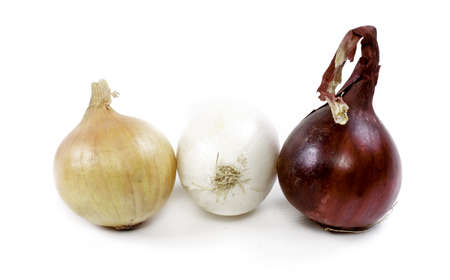 onion on a white backgroundの写真素材