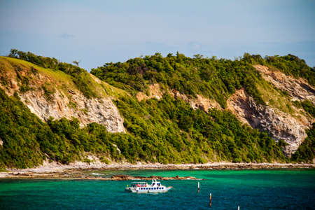chihuahua puppy  in front of a white backgroundの写真素材