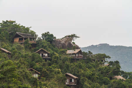 Chinese jungle, island of Hainanのeditorial素材
