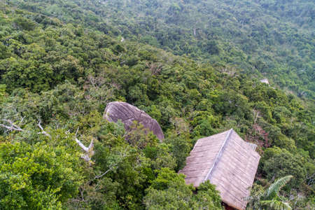 Chinese jungle, island of Hainanのeditorial素材