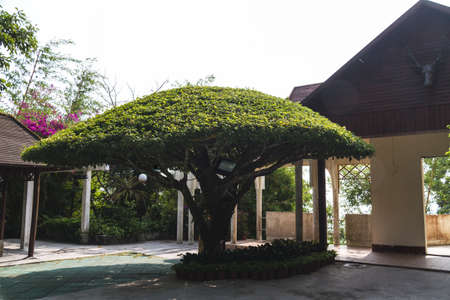 China Hainan islandのeditorial素材