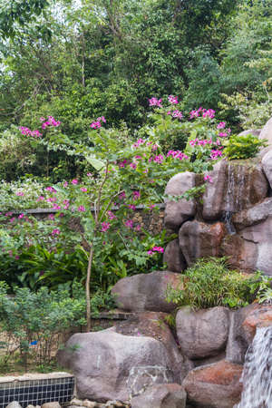 China Hainan islandの写真素材