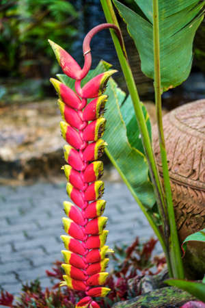 Thai style flower garden