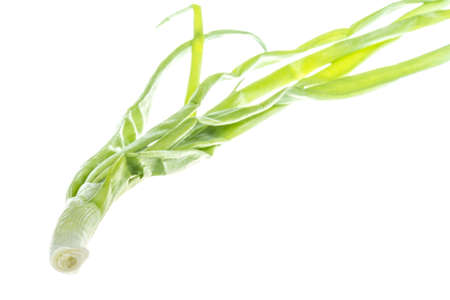 Green Onion on white background