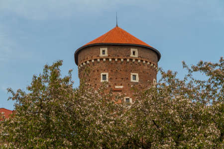 Royal castle in Wawel, Krakowのeditorial素材