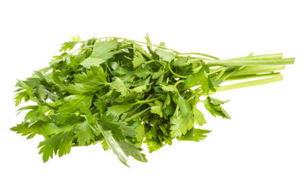 a bunch of parsley on a white backgroundの写真素材