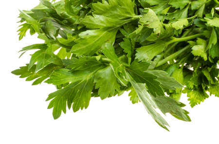 a bunch of parsley on a white backgroundの写真素材