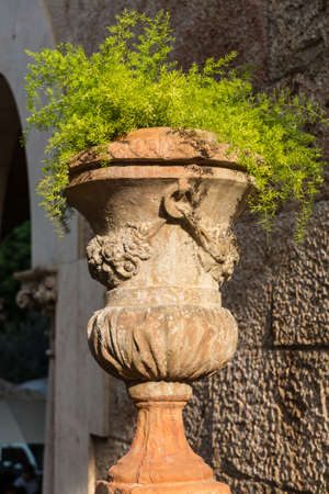 Almudaina  of Palma de Mallorca in Majorca Balearic islandの写真素材