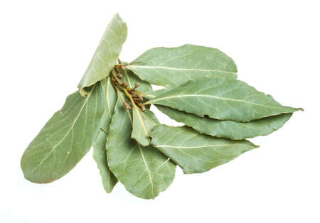 Aromatic Bay leaves (laurel) isolated over white background