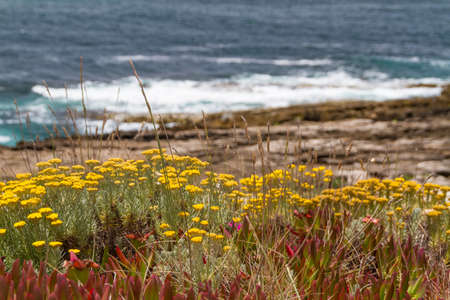 Beach on Atlantic Ocean Coast in Stormy weather near Lisbon, Portugalの写真素材