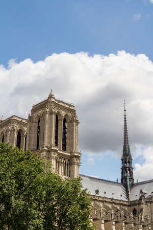 Notre Dame Cathedralの写真素材