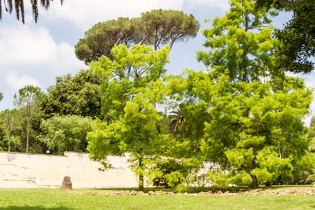 Villa Pamphili,Rome, Italyの写真素材