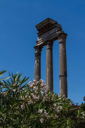 Roman ruins in Rome, Forum