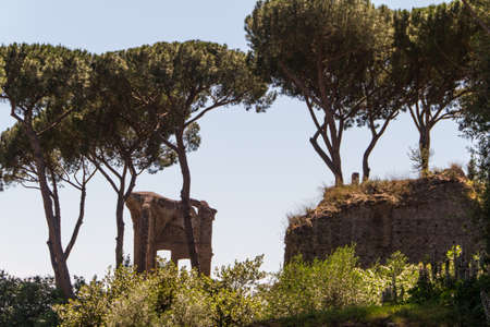 Roman ruins in Rome, Forumの写真素材