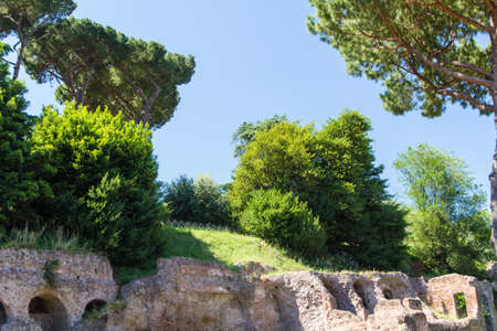 Roman ruins in Rome, Forumの写真素材