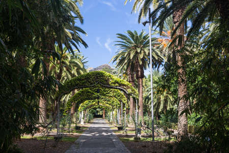 Park in Santa Cruz Tenerifeの写真素材