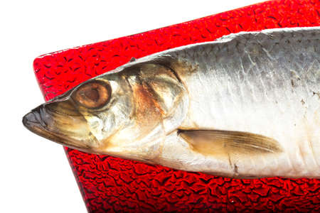 Salted herring