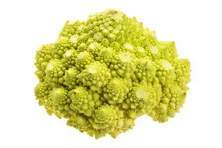 Romanesco cabbageの写真素材