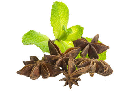 Star Anise and Mint isolatedの写真素材