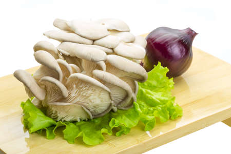 Fresh Fungus with salad leavesの写真素材