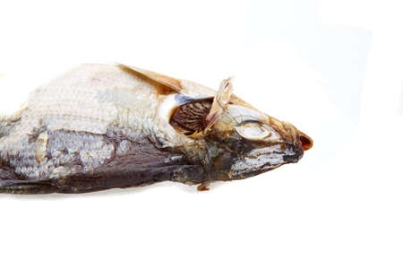 Dried fishの写真素材