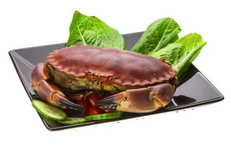 Raw crabの写真素材
