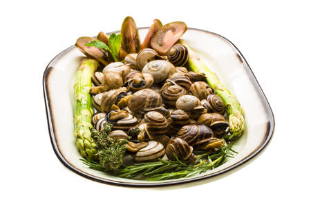Escargot with asparagus, rosemary, thymus and tomatoの写真素材