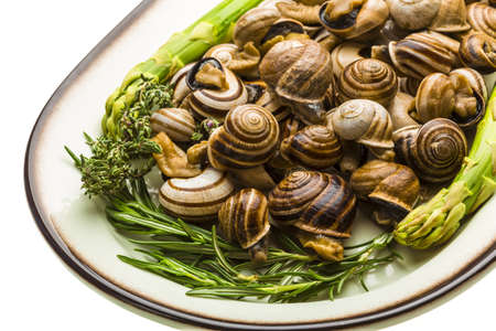 Escargot with asparagus, rosemary, thymus and tomatoの写真素材