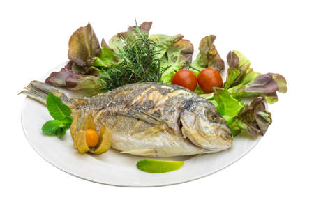 Dorado grilledの写真素材
