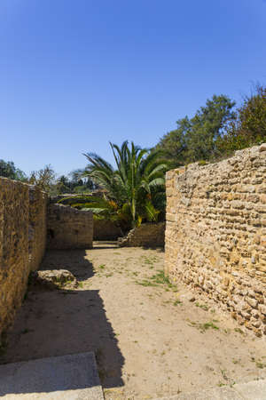 Old Carthage ruins in Tunisiaの写真素材