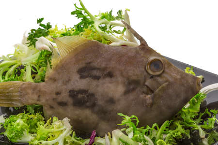 Fish Pesce San Pietro