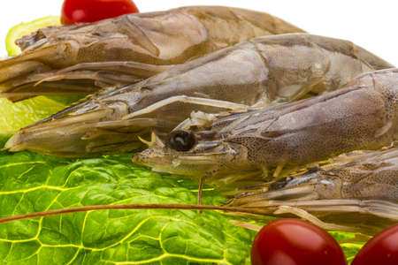 Big raw shrimpsの写真素材